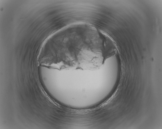 X0000062640933200601181741