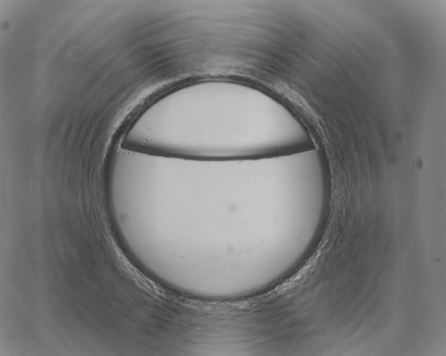 X0000062640934200601181741