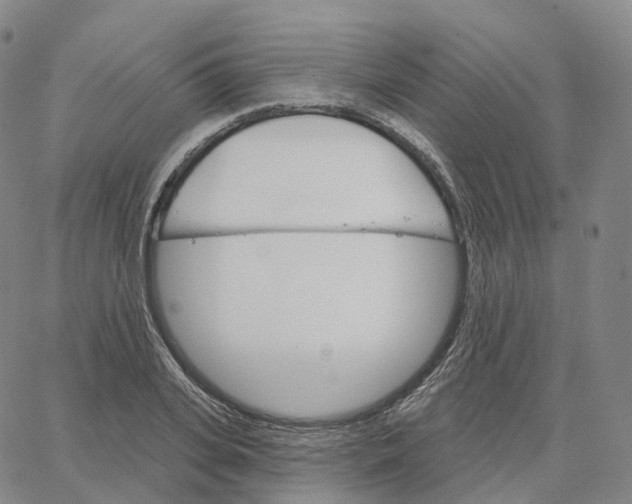 X0000062640935200601181741