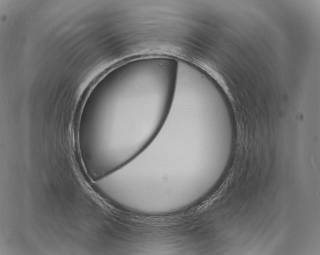 X0000062640936200601181741