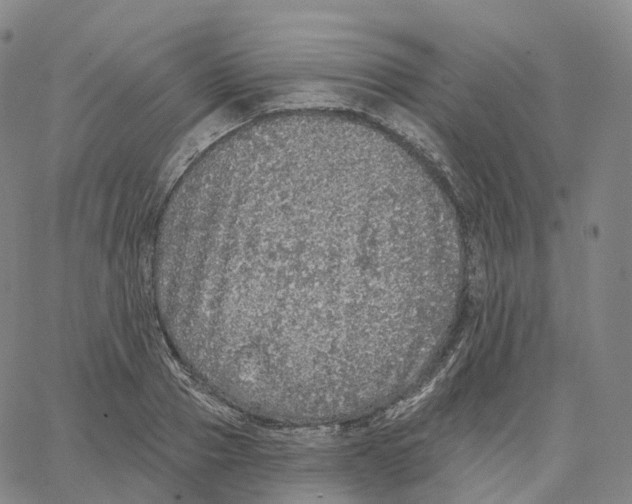 X0000062640937200601181741