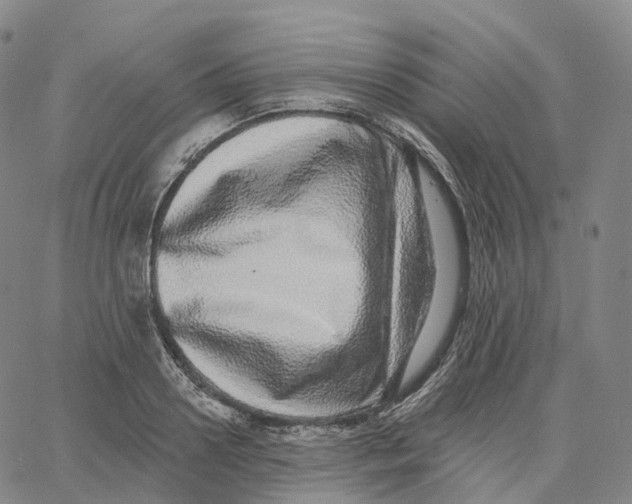 X0000062640938200601181741