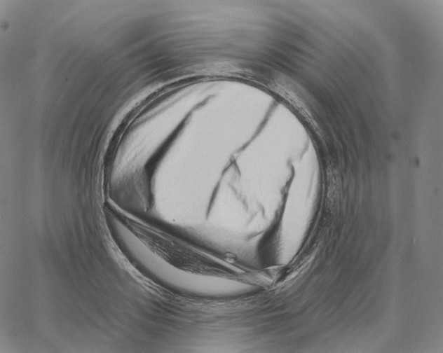 X0000062640939200601181741