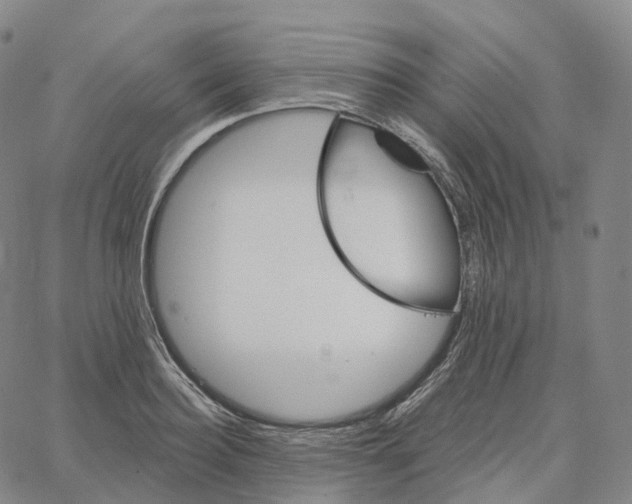 X0000062640940200601181741