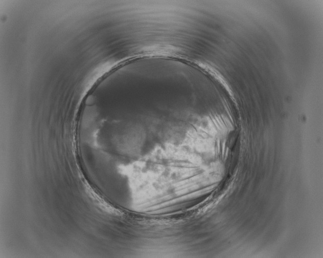 X0000062640941200601181741