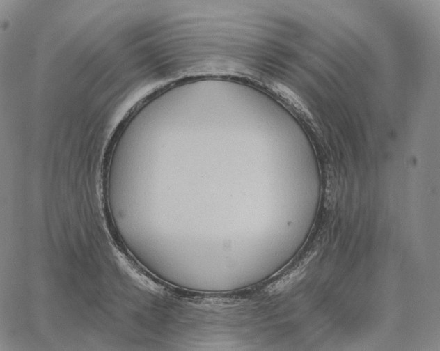 X0000062640942200601181741