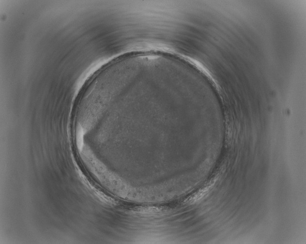 X0000062640943200601181741