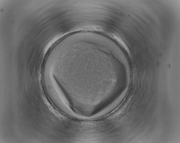 X0000062640944200601181741