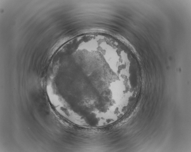 X0000062640945200601181741