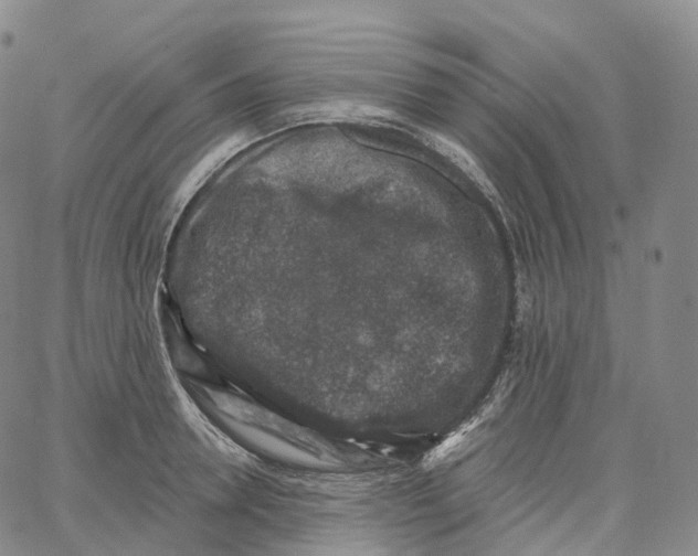 X0000062640946200601181741