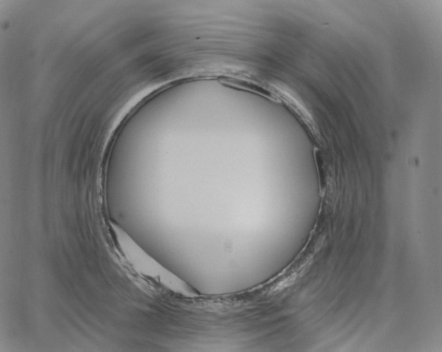 X0000062640948200601181741