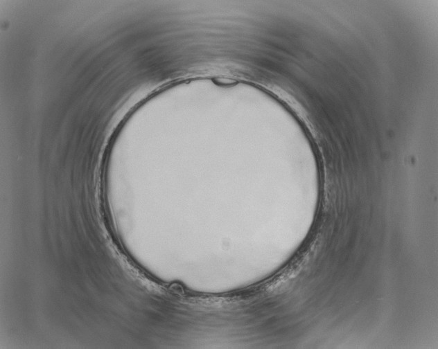 X0000062640949200601181741