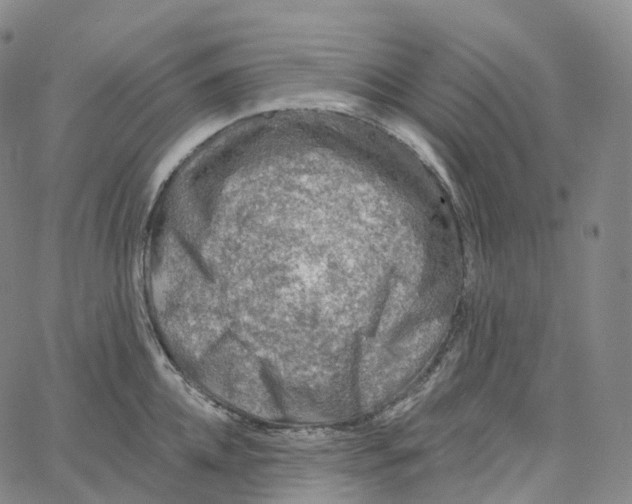 X0000062640952200601181741