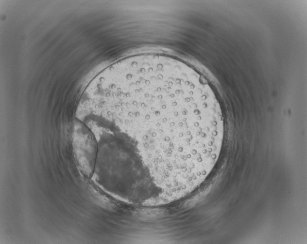 X0000062640953200601181741