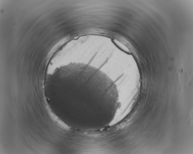 X0000062640954200601181741