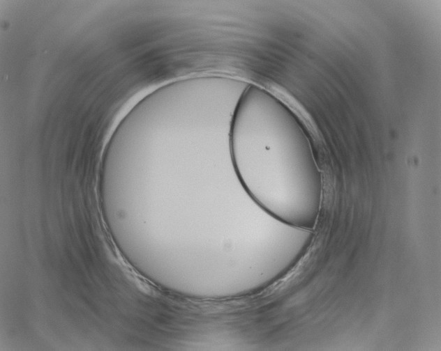 X0000062640956200601181741