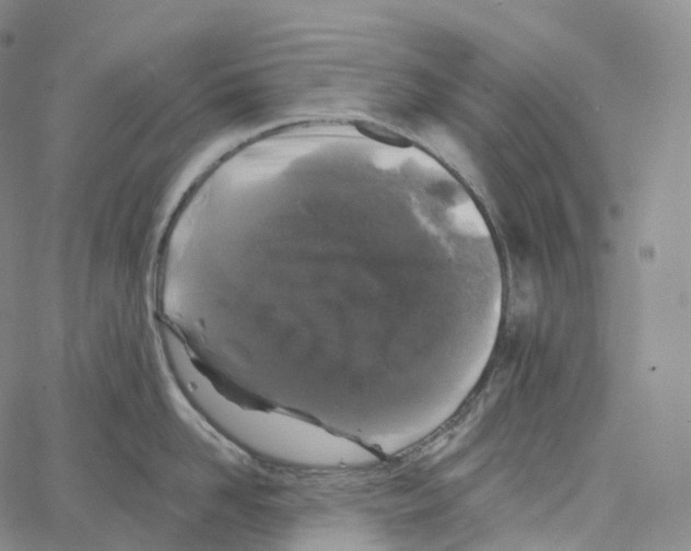 X0000062640958200601181741