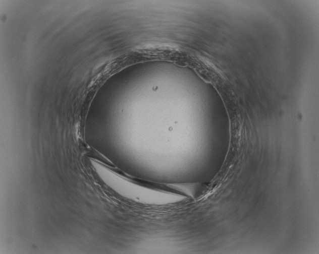 X0000062640965200601181741