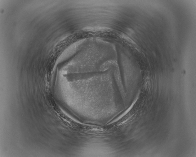 X0000062640966200601181741