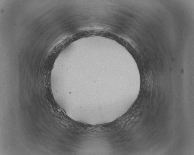 X0000062640967200601181741