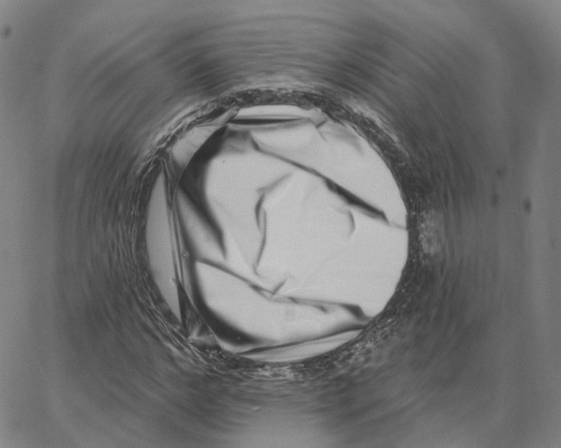 X0000062640968200601181741