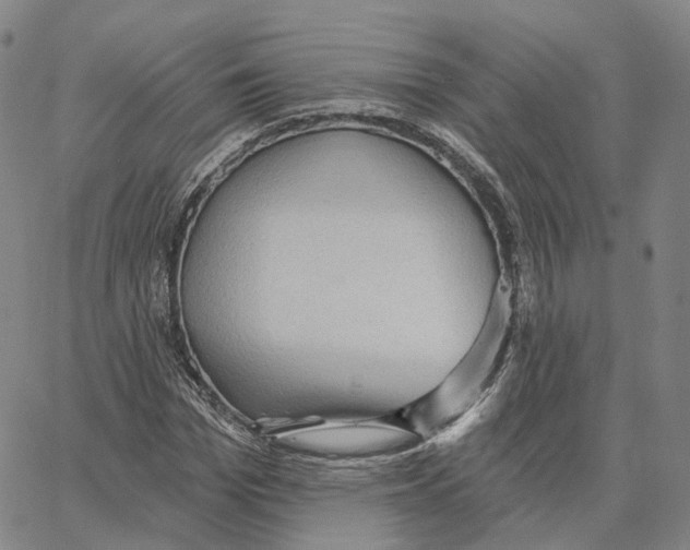 X0000062640969200601181741