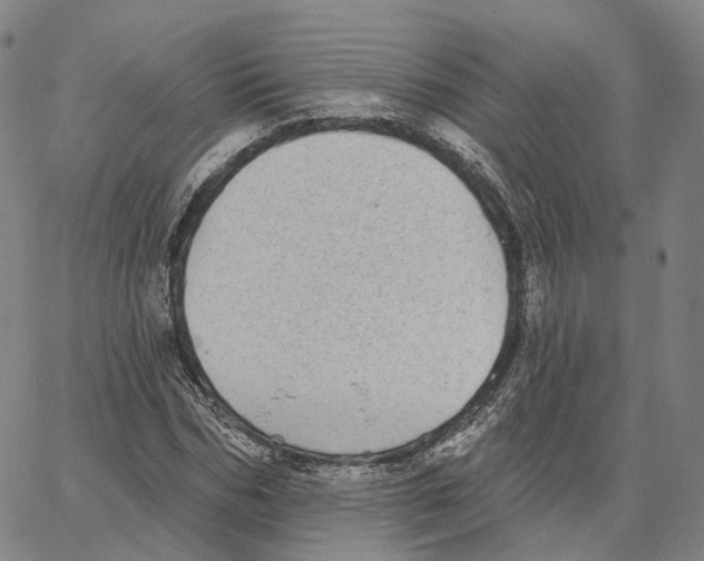 X0000062640970200601181741