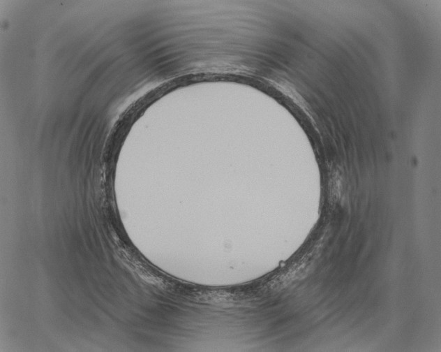 X0000062640971200601181740