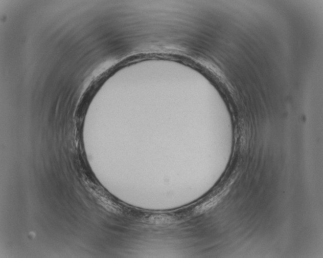 X0000062640974200601181740