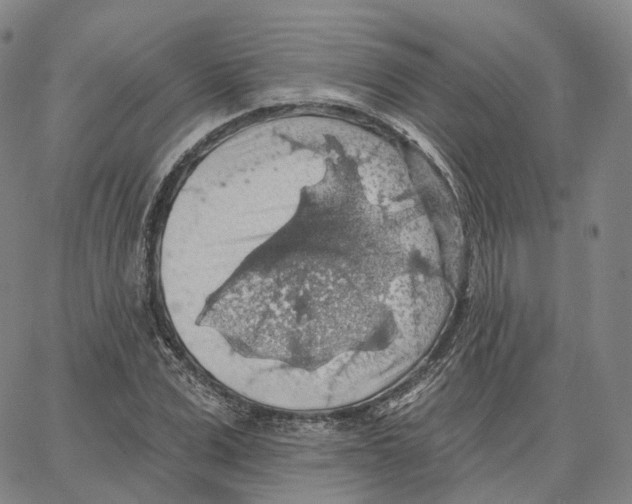 X0000062640975200601181740