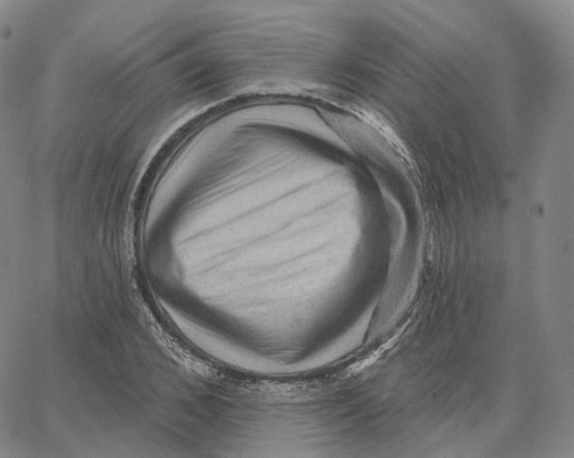 X0000062640976200601181740