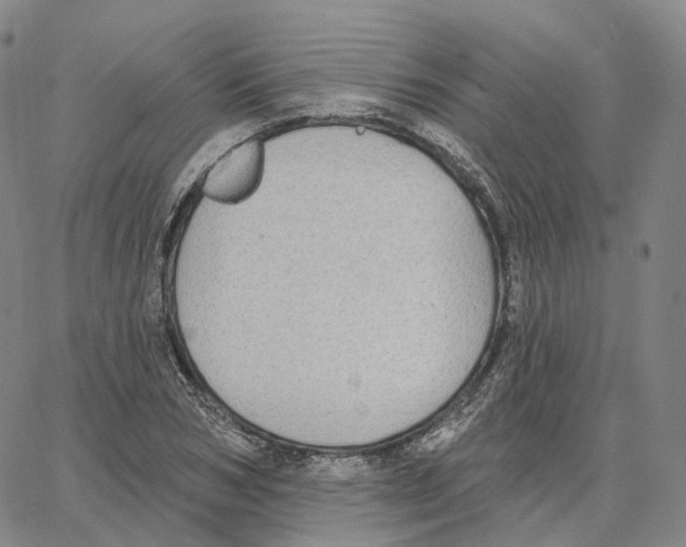 X0000062640978200601181740