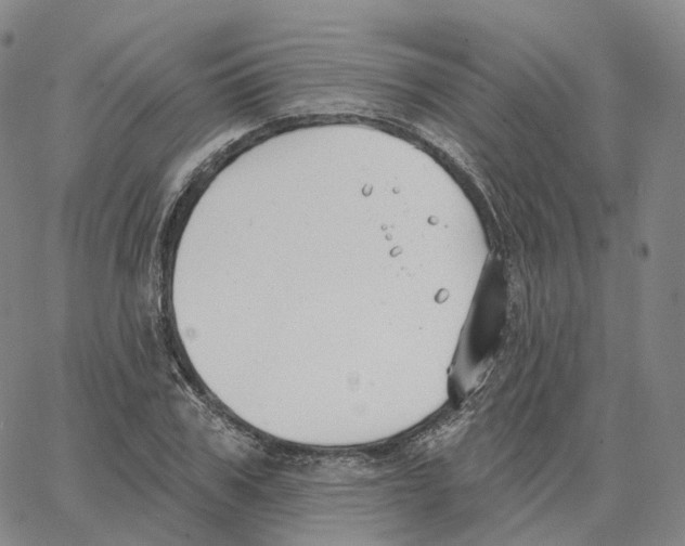 X0000062640979200601181740