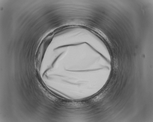 X0000062640980200601181740