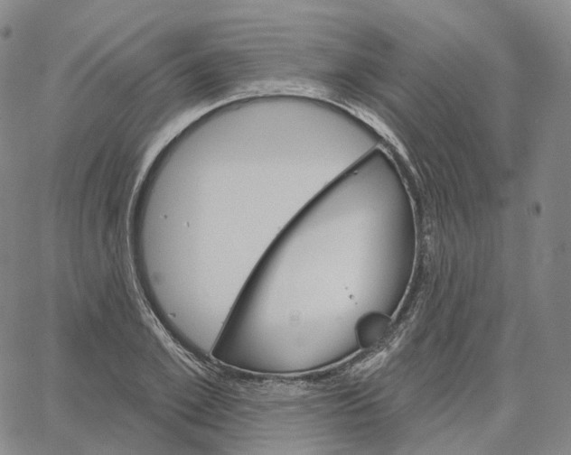 X0000062640981200601181740