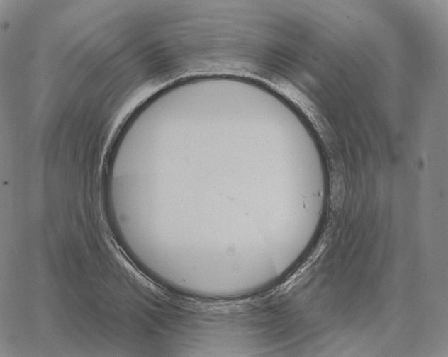 X0000062640982200601181740