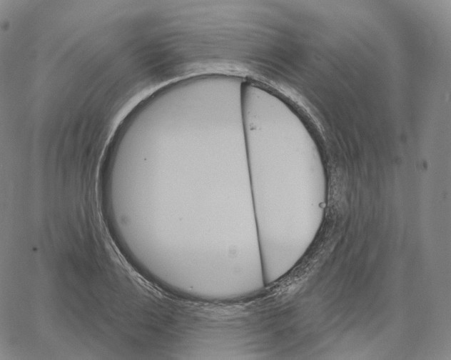 X0000062640983200601181740