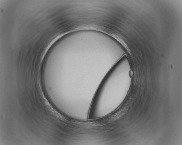 X0000062640984200601181740