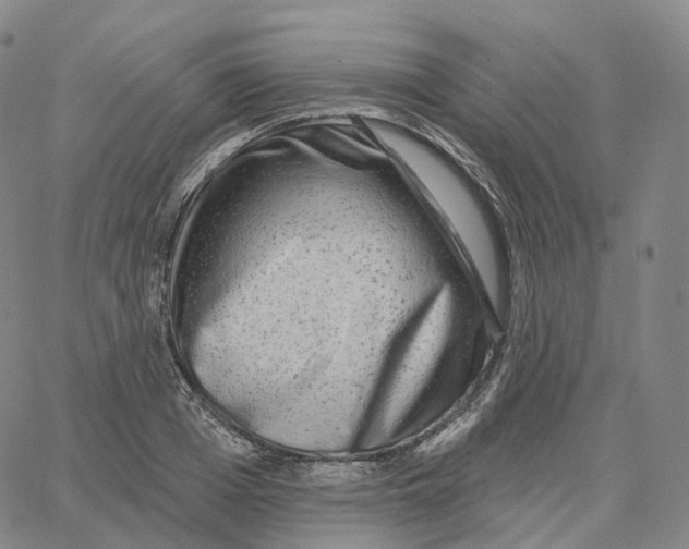 X0000062640985200601181740