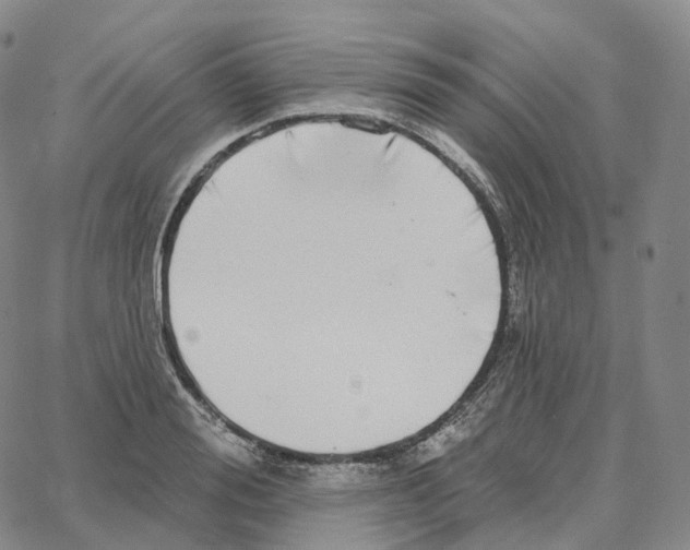 X0000062640988200601181740