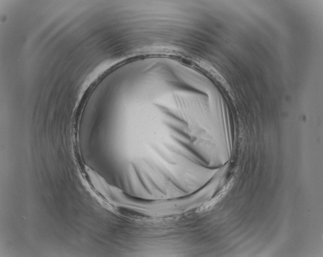 X0000062640989200601181740