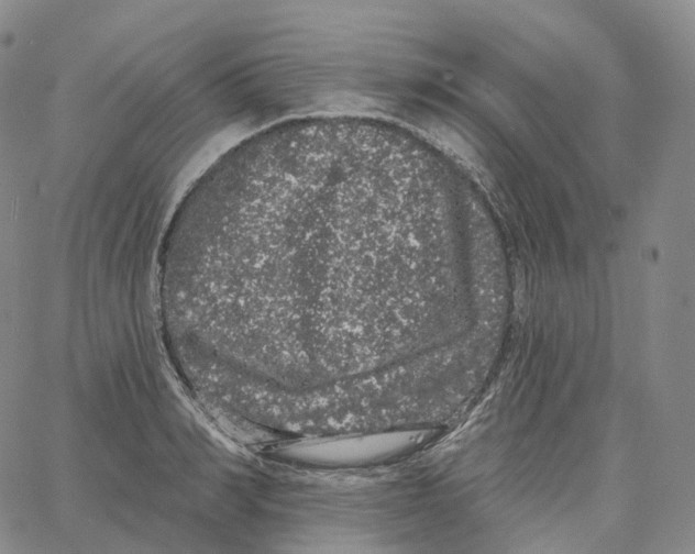 X0000062640990200601181740