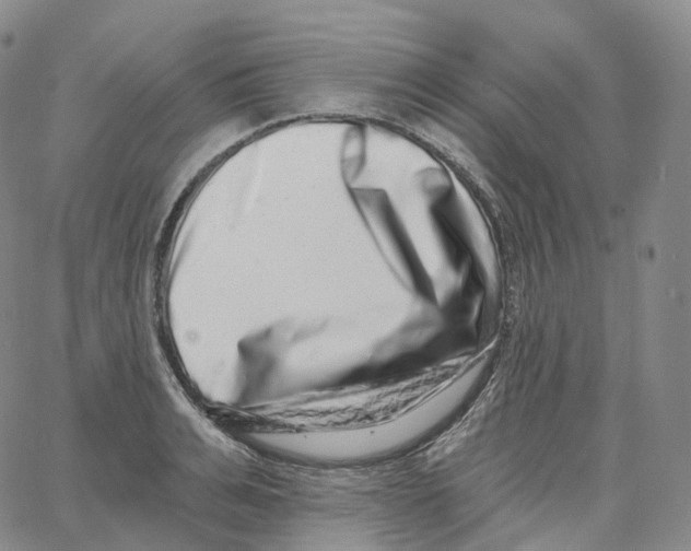 X0000062640991200601181740