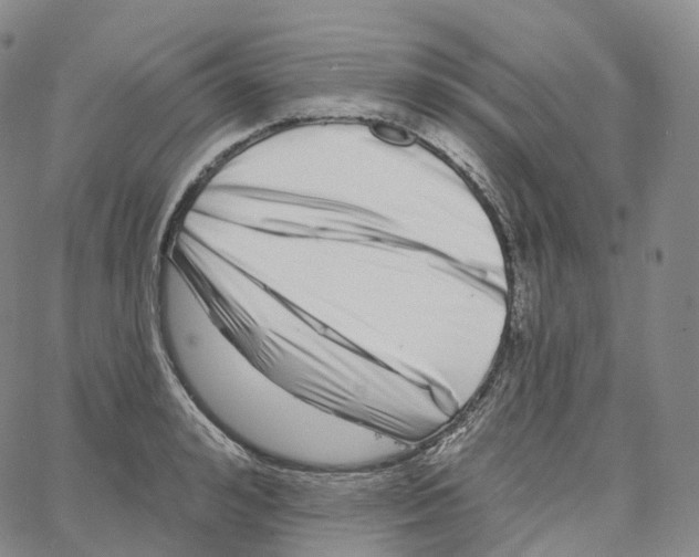 X0000062640992200601181740