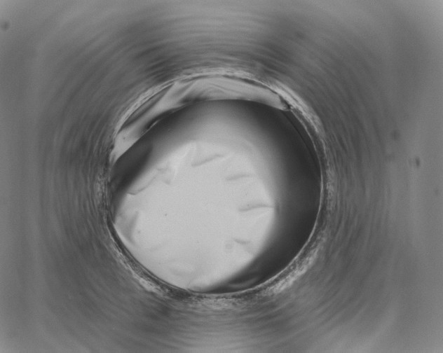 X0000062640993200601181740