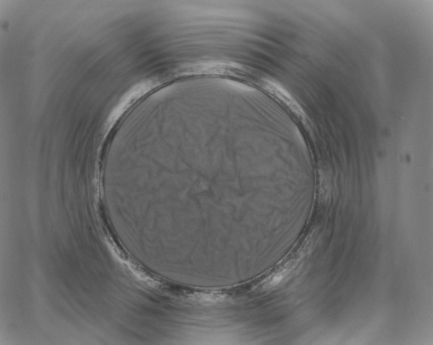 X0000062640994200601181740