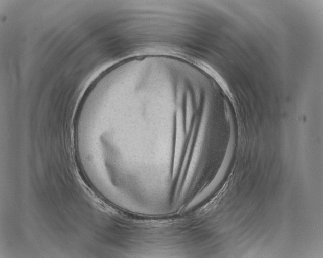 X0000062640996200601181740