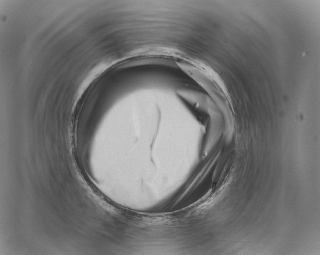 X0000062640997200601181740