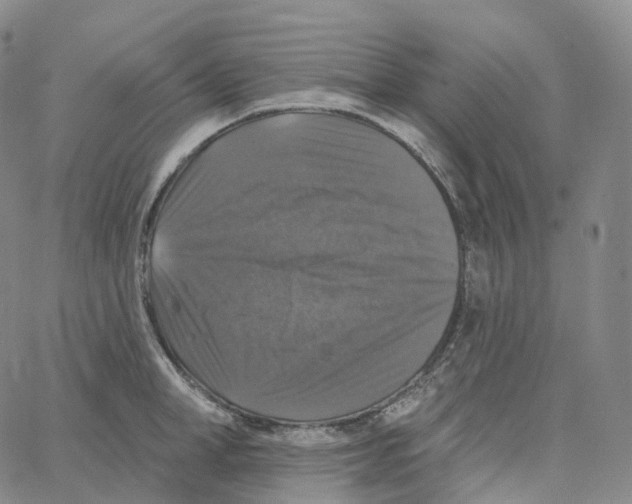 X0000062640998200601181740