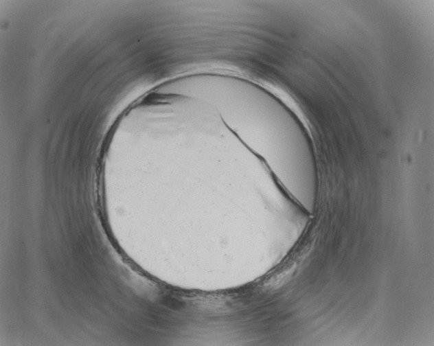 X0000062640999200601181740